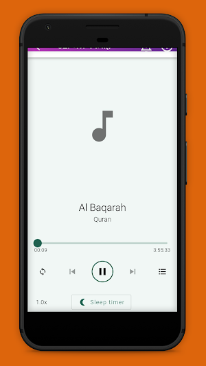 Quran In Hindi Audio Screenshot 2