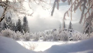 Winter wallpapers Screenshot 1