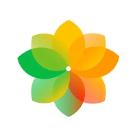 Scouting - Kernel Digital