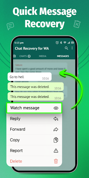 Chat Recover For WA/Business Screenshot 2