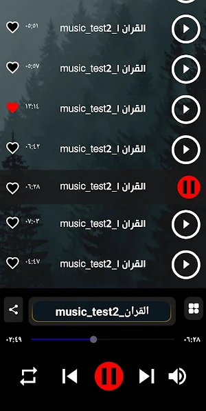 اجمل تلاوات اسلام صبحي |2024 Screenshot 2