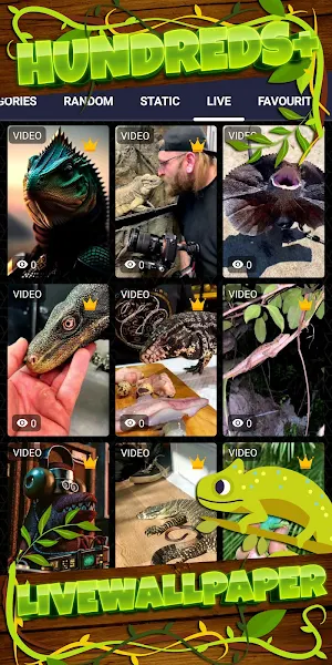 lizard wallpaper Screenshot 2