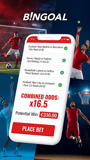 Bingoal Screenshot 2