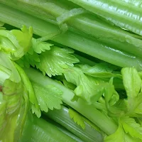 Celery Breaking Sound