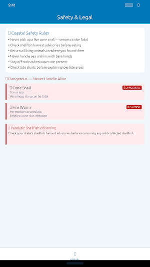 Seashell Identifier: ShellRef Screenshot 3