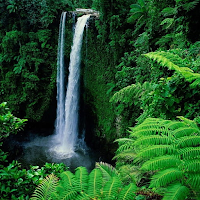 Nature wallpapers android HD