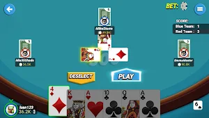 Five Hundred – 500 Card Game Screenshot 2