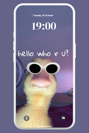Funny Lol Wallpaper 4K Screenshot 3