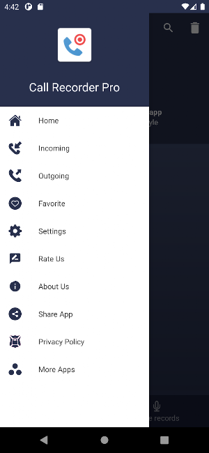 Call Recorder Pro Screenshot 3