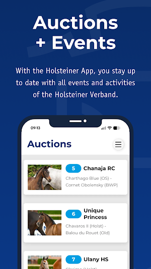 Holsteiner Connect Screenshot 3
