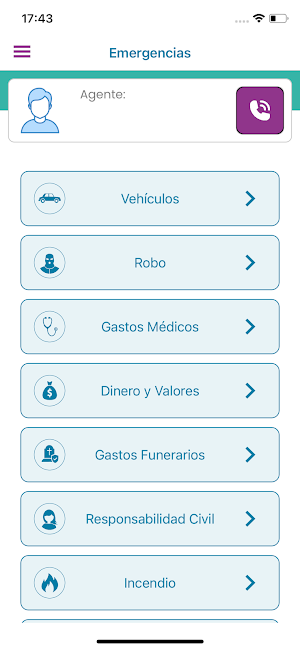 Conexión seguros Screenshot 3
