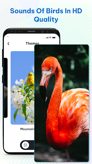 Bird Ringtones & Wallpaper Screenshot 1