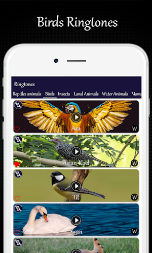 Animals and Birds Ring Tones Screenshot 0