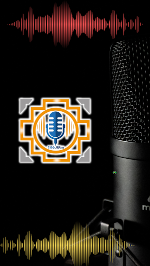 Radio Silveria stereo Screenshot 1