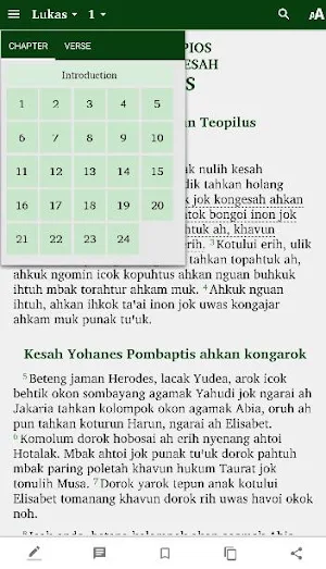 Alkitab Uud Danum Screenshot 1