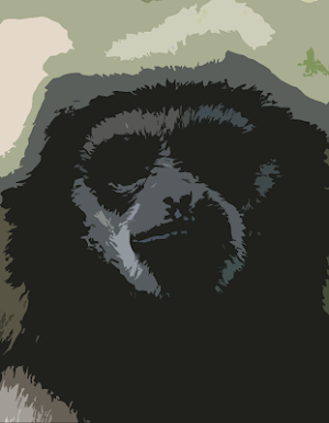 Gibbon monkey sounds ~ Sboard.pro Screenshot 0