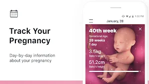 Stork — Pregnancy Tracker & Calendar App Screenshot 0