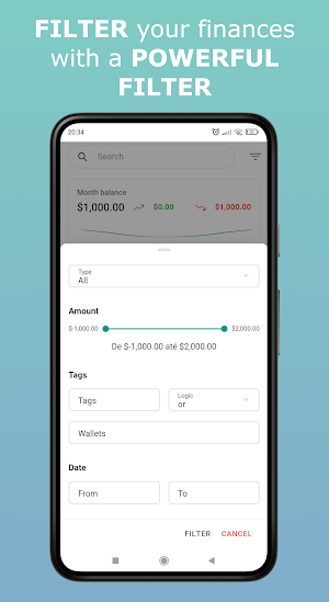 Ion Finances Screenshot 2
