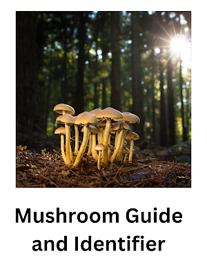 Mushroom Guide and Identifier screenshot 8