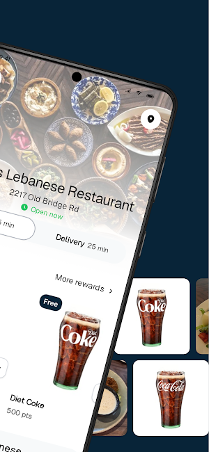Layla's Lebanese Restaurant Screenshot 1