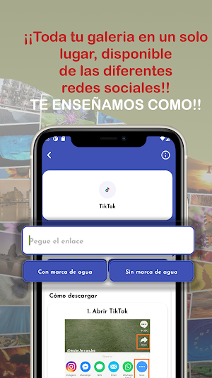Descargar Videos Gratis Online Screenshot 2