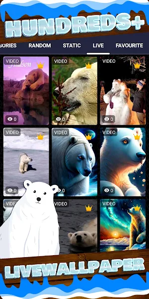 polar bear wallpaper Screenshot 2