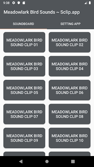 Meadowlark Bird Sound Collections ~ Sclip.app Screenshot 0