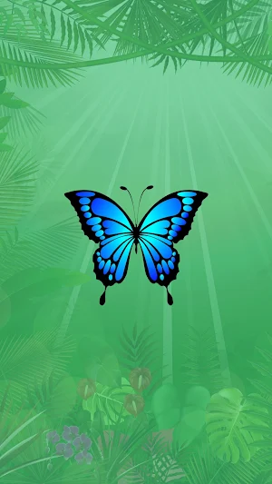Morpho Health Coaching Screenshot 0