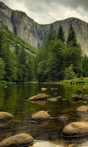 Nature Wallpapers Screenshot 3