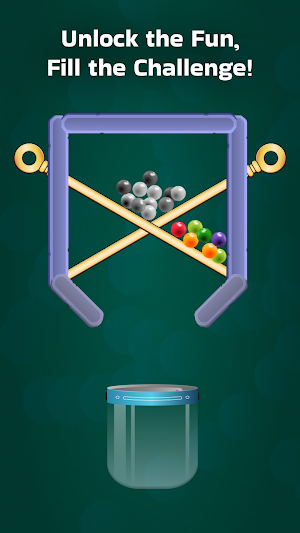 Pin Unlock & Fill Screenshot 3