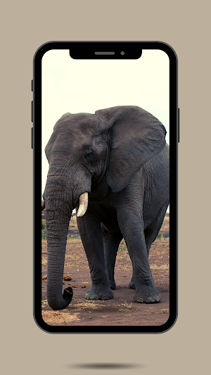 Elephant Ringtone Screenshot 1