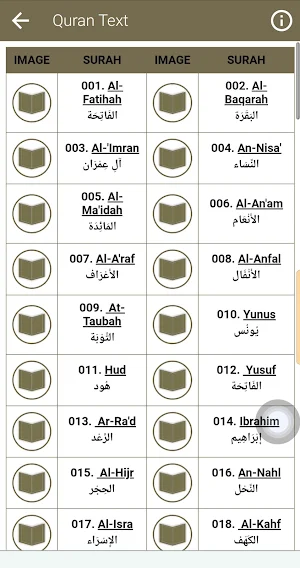 Mansour Al Salmi Offline Quran Screenshot 3