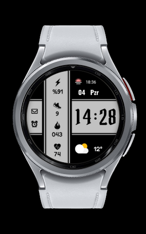 CNRwatch012 Screenshot 0