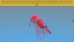 Diversity in Living:Arthropoda Screenshot 1