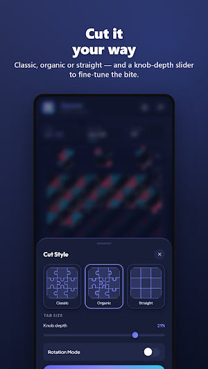 Jigsaw Puzzle Studio Screenshot 3