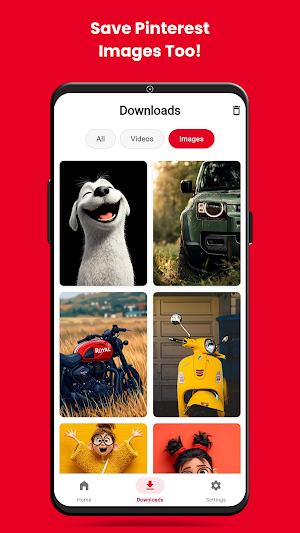 PinSave- Pinterest Downloader Screenshot 2