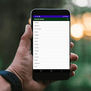 Kur’an-ı Kerim Meali Screenshot 2