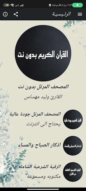 القران بصوت وليد مهساس بدون نت Screenshot 0