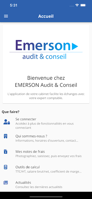 EMERSON Audit & Conseil Screenshot 0