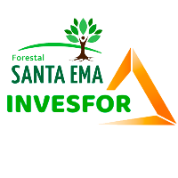 APP INVESFOR