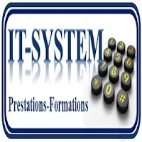 IT System International