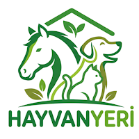 Hayvanyeri
