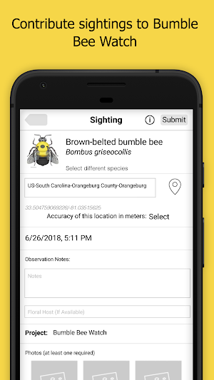 Bumble Bee Watch Screenshot 3