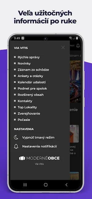 Via Vitis Screenshot 2