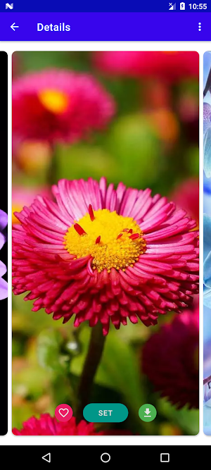 Flower Wallpaper 4K Screenshot 1