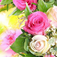 Flower Wallpapers