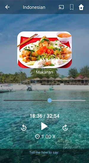 Learn Indonesian. Speak Indonesian. Screenshot 1
