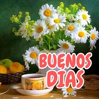 Buenos días, tardes y noches