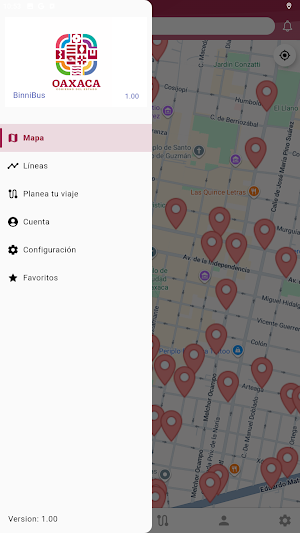 Binnibus Screenshot 2