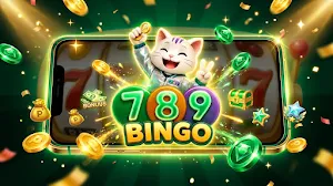 789Bingo Casino:Game Screenshot 0